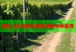海角社区老金的温暖故事与邻里情