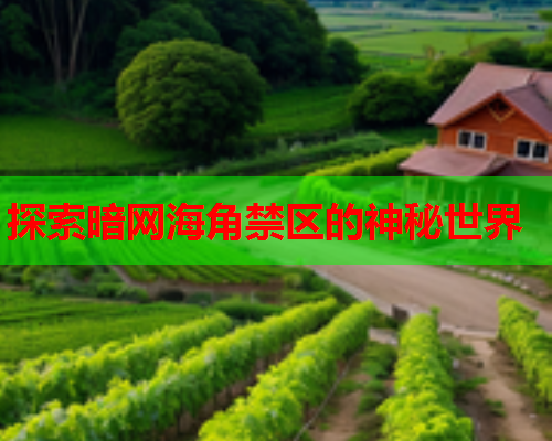 探索暗网海角禁区的神秘世界