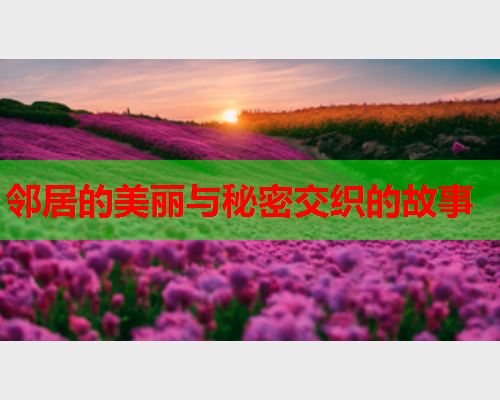 邻居的美丽与秘密交织的故事