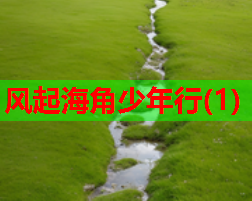 风起海角少年行(1)