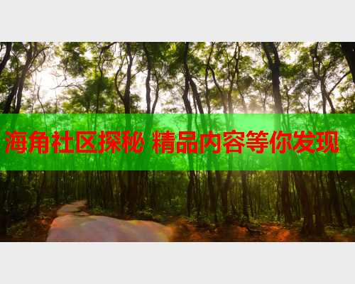 海角社区探秘 精品内容等你发现