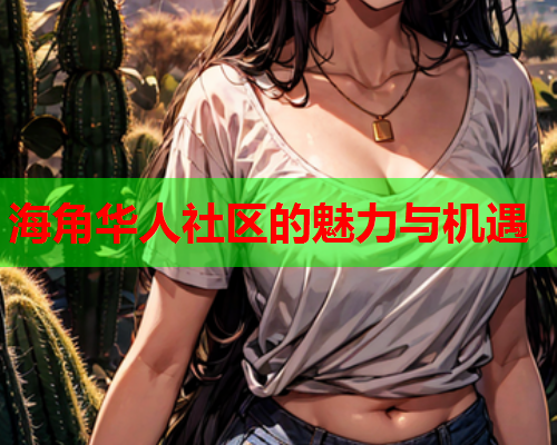 海角华人社区的魅力与机遇