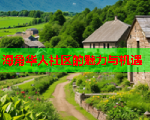 海角华人社区的魅力与机遇
